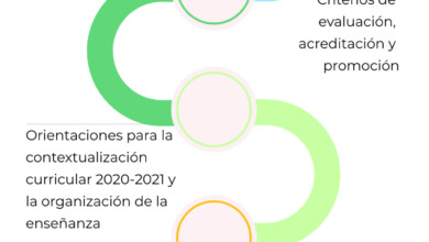 nuevo lineamientos pedagógicos
