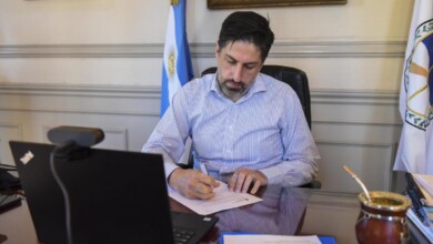 declaraciones de Trotta