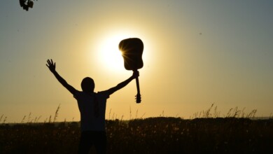 silhouette of man holding guitar on plant fields at daytime