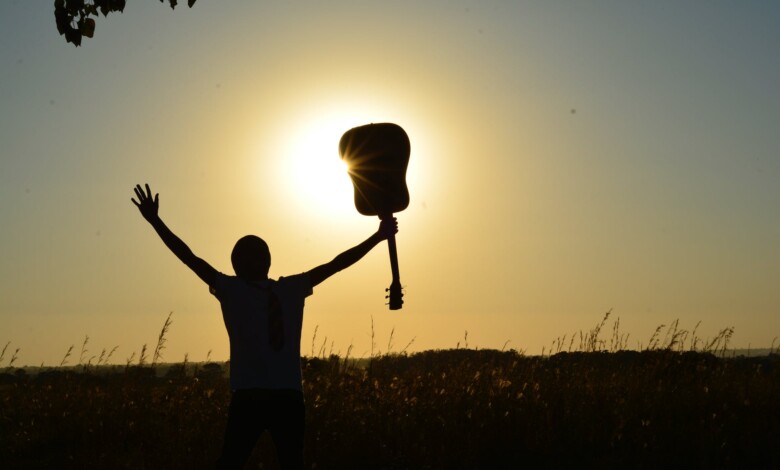 silhouette of man holding guitar on plant fields at daytime