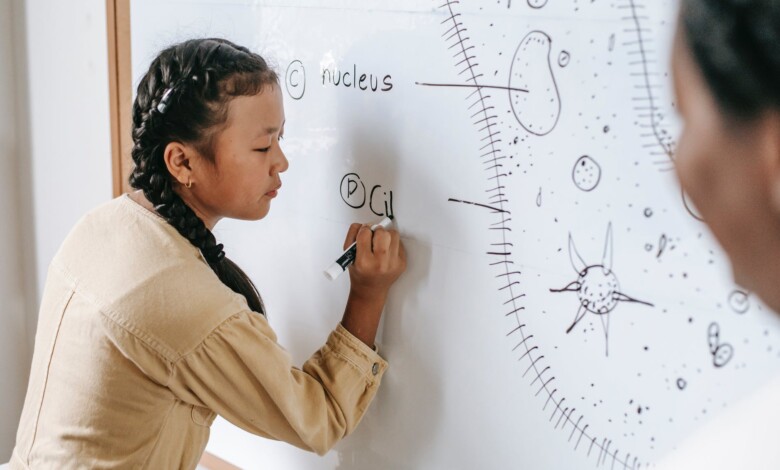 asian teen girl writing on whiteboard in classroom