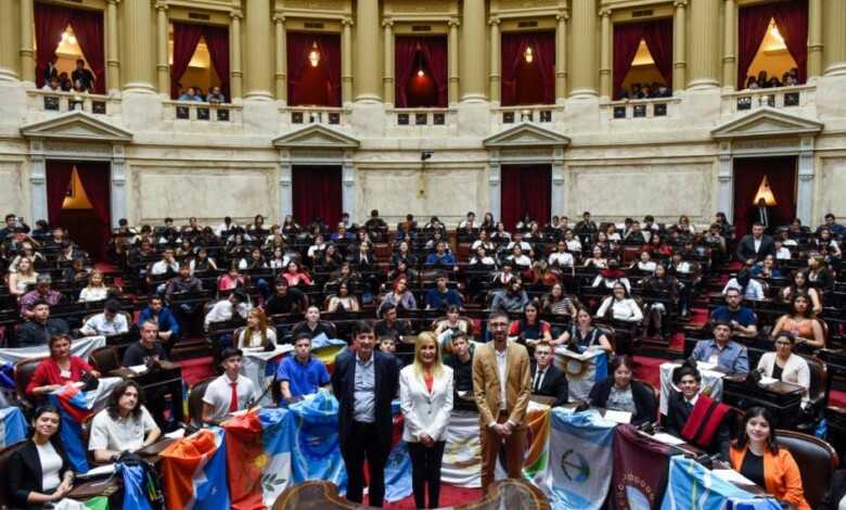 Parlamento juvenil del mercosur