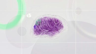 an artist s illustration of artificial intelligence ai this image represents how machine learning is inspired by neuroscience and the human brain it was created by novoto studio as par