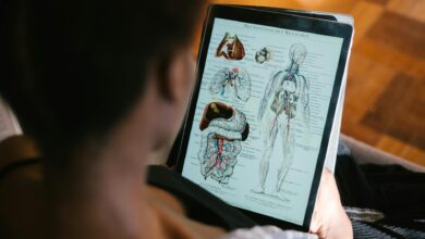 photo of woman studying anatomy