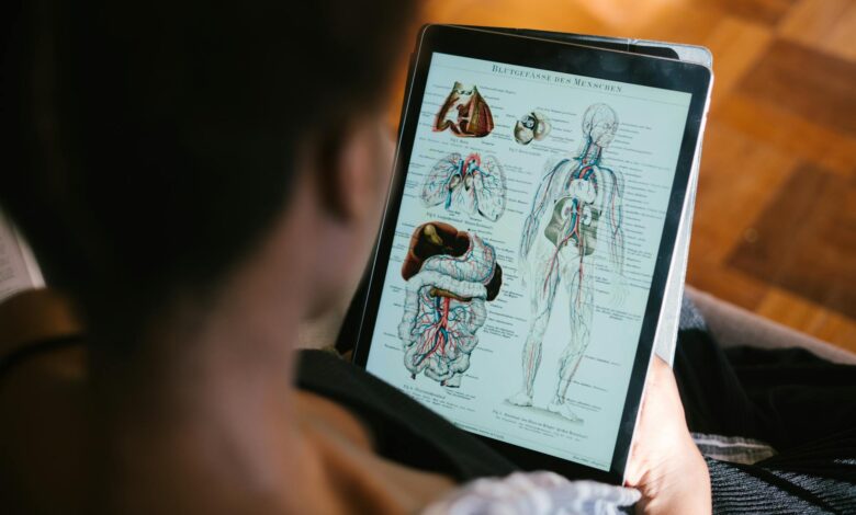 photo of woman studying anatomy