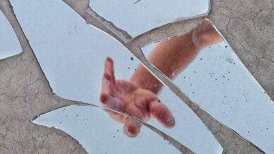 mirror fragments on gray surface with the reflection of a person s hand