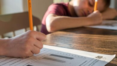 kids doing homework exercise at home