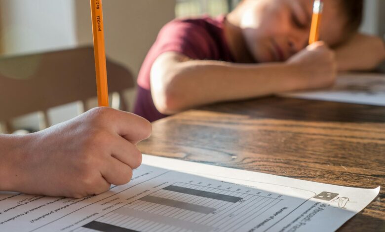 kids doing homework exercise at home