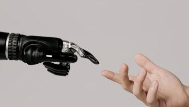 hand of a person and a bionic hand