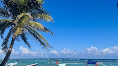 tropical beach scene with boats in mahahual mexico