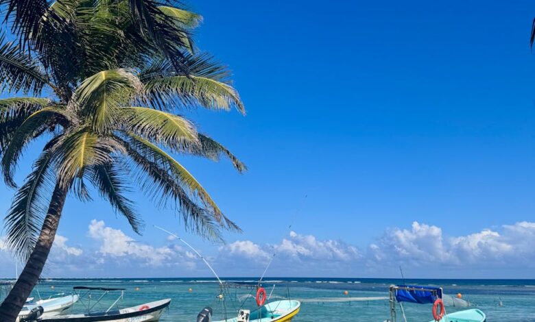 tropical beach scene with boats in mahahual mexico