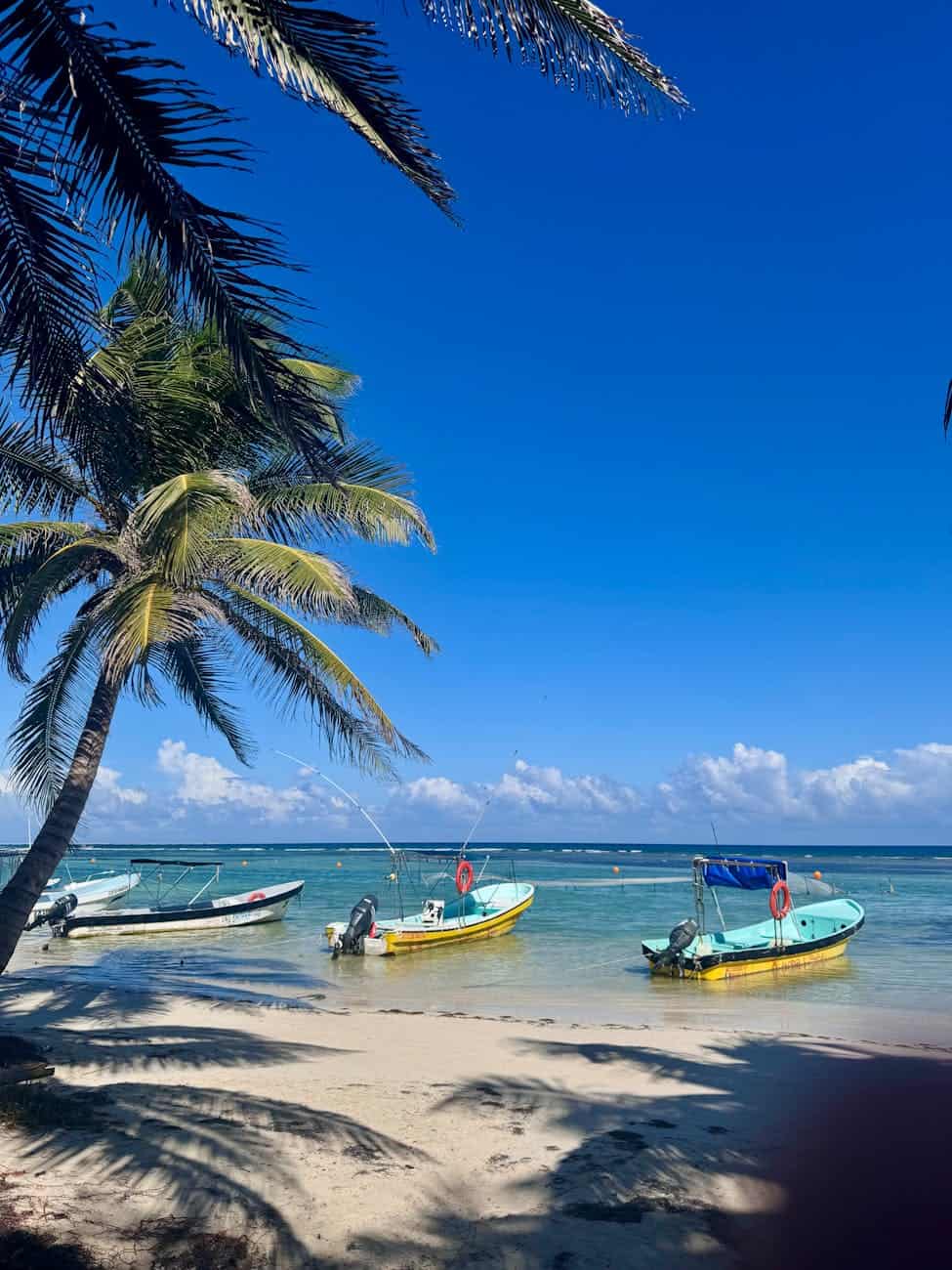 tropical beach scene with boats in mahahual mexico