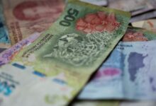 close up of argentine pesos with wildlife imagery