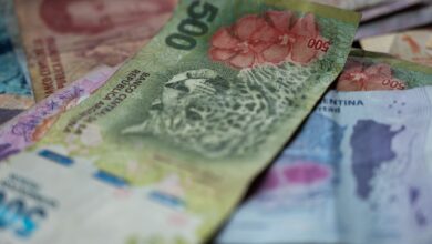 close up of argentine pesos with wildlife imagery