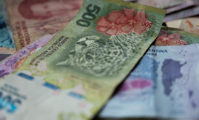 close up of argentine pesos with wildlife imagery