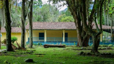 house in forest