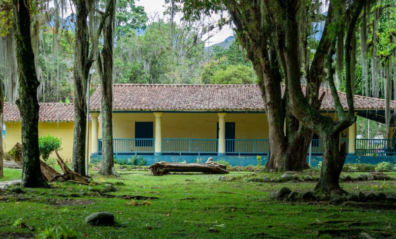 house in forest