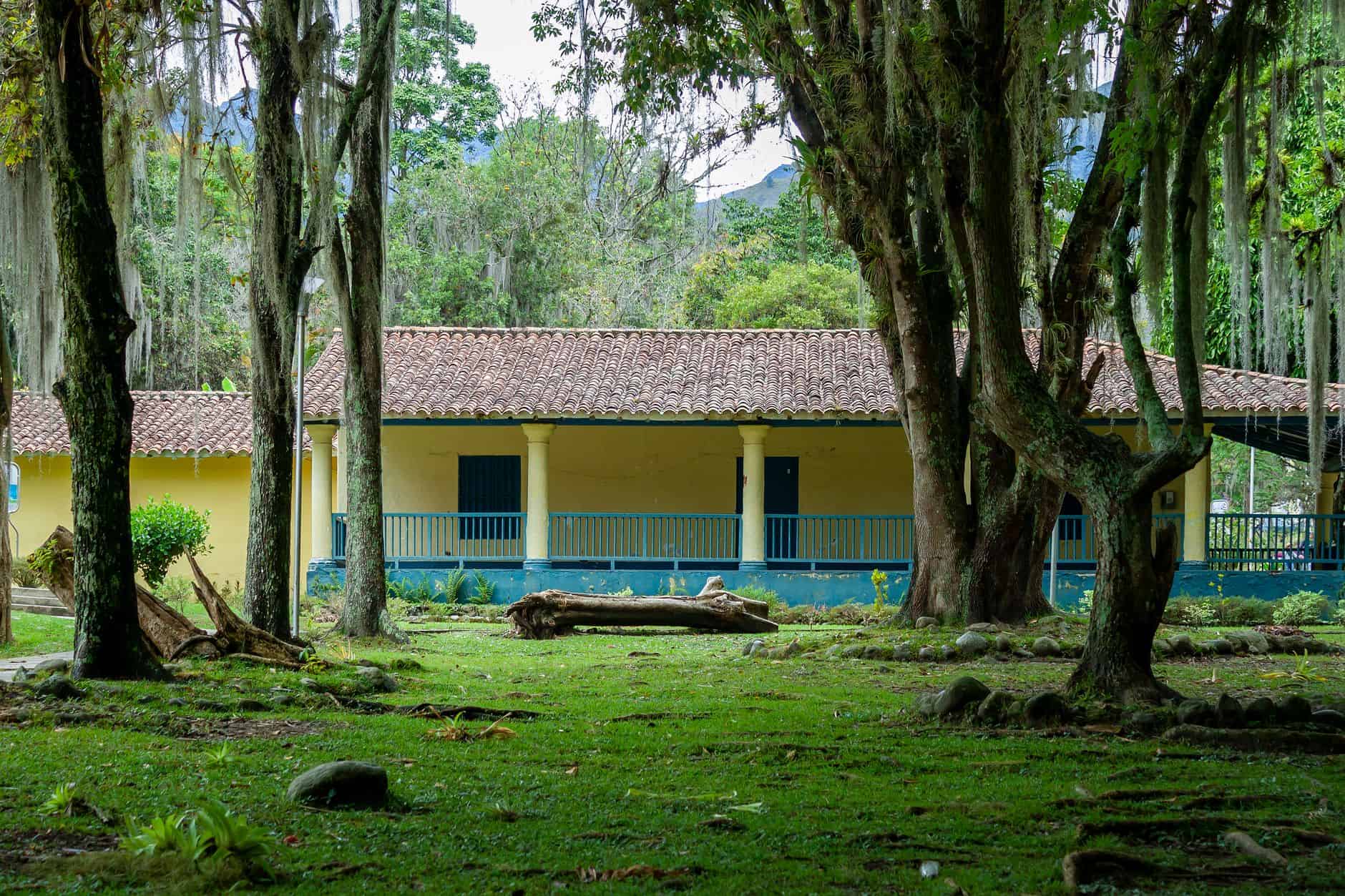 house in forest
